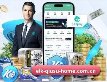 球速体育官网入口 APP