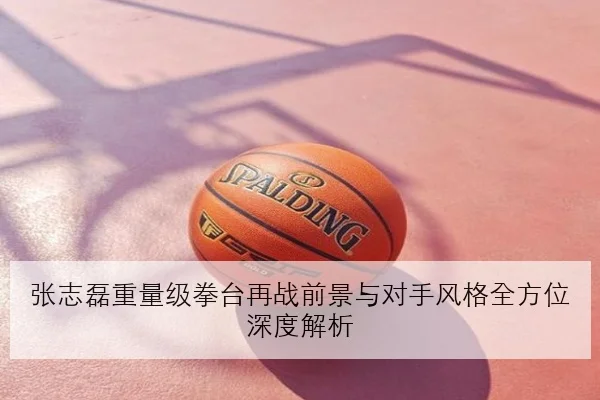 张志磊重量级拳台再战前景与对手风格全方位深度解析
